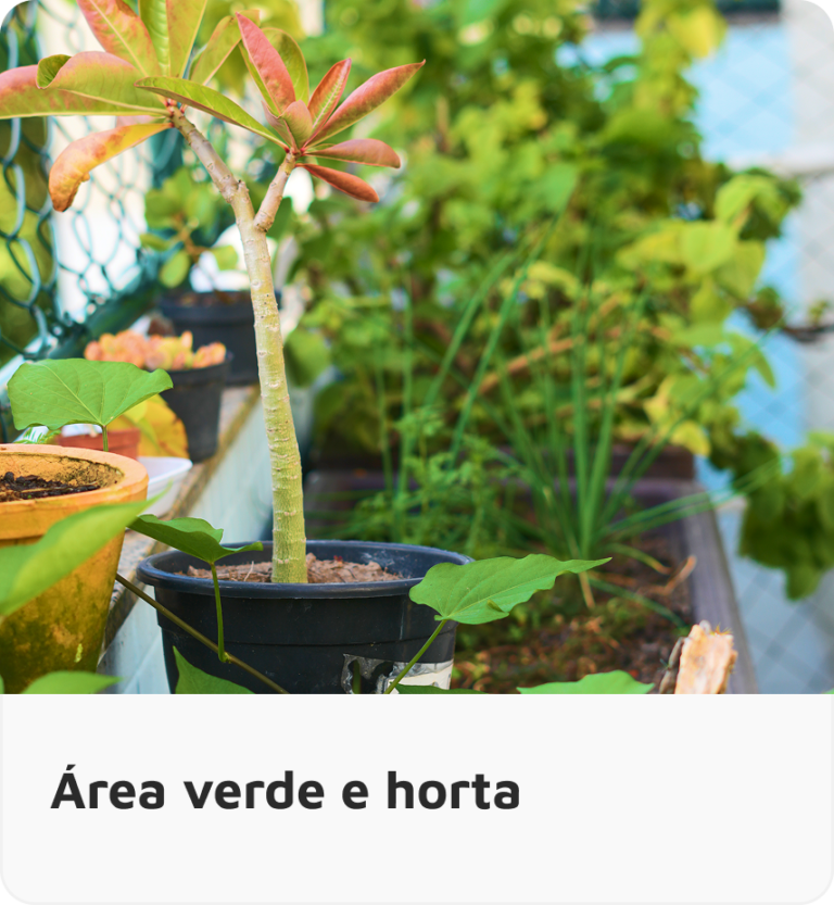 Área-verde-e-horta